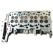 Overhead view of a genuine BMW 2.0 diesel bare cylinder head, fully skimmed and visually inspected for cracks between the valve seats.